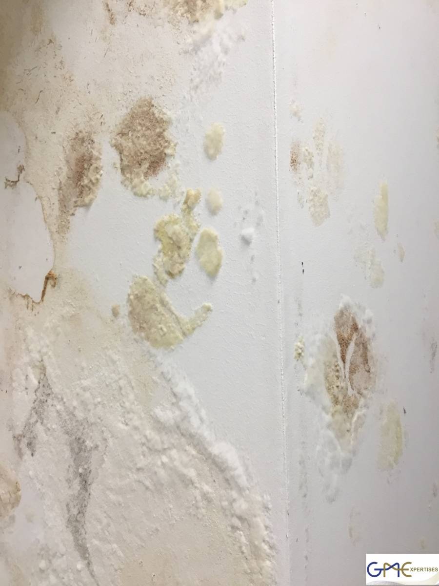Infiltrations et humidité murs maison à Bordeaux en Gironde 